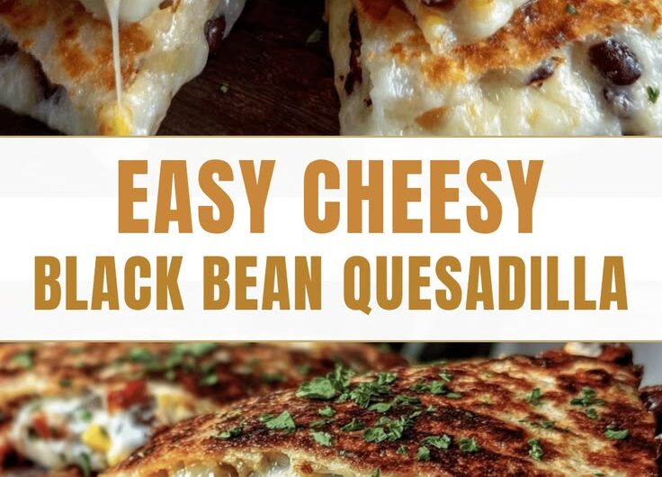 Easy 5-Ingredient Quesadilla Recipe with Black Beans and Pepper Jack