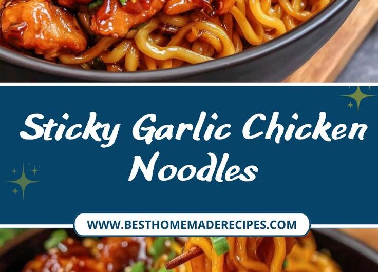 Sticky Garlic Chicken Noodles